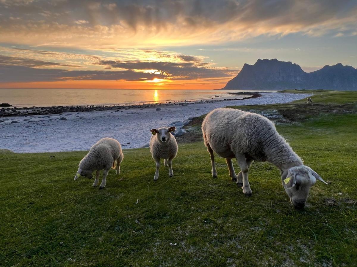 Real Fisherman'S Cabins In Ballstad, Lofoten Esterno foto